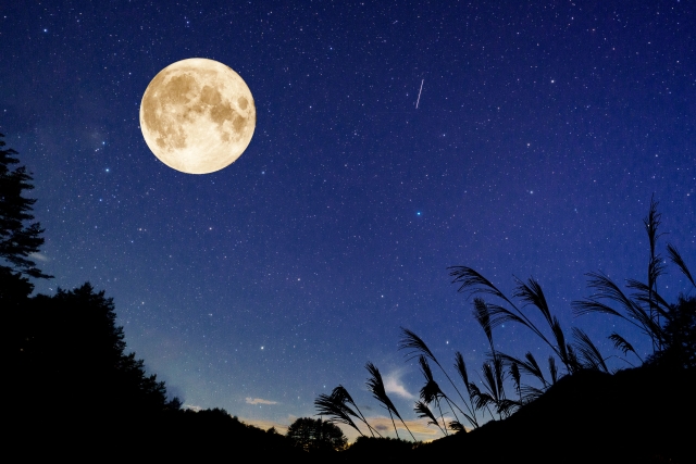 'Tsuki ga Kirei': A Poetic Love