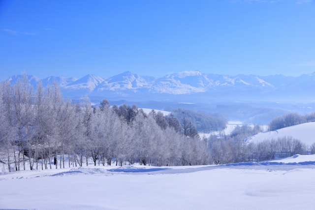 Shikisai no Oka in winter