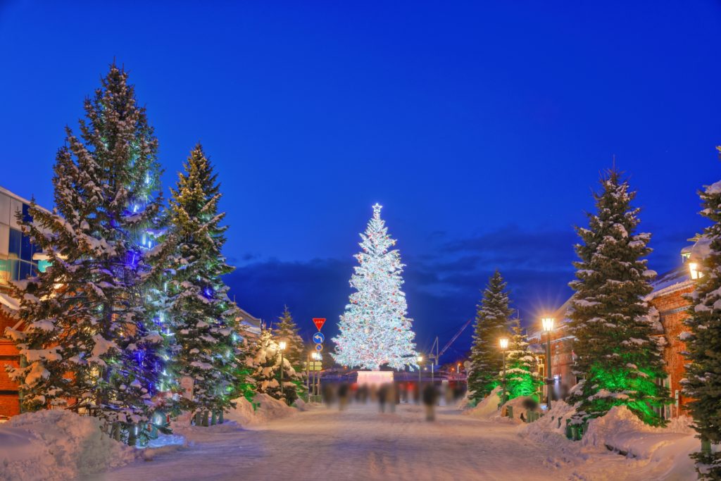 Delight in the Winter Magic of the Hakodate Christmas Fantasy