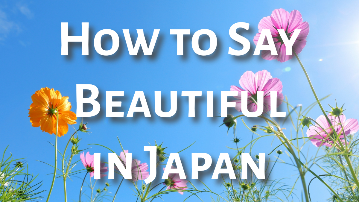How to Say Beautiful in Japan:　Understanding 'Beautiful' in Japanese Language